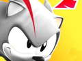 Žaidimas Sonic Subway Super Rush internete