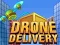 Žaidimas Dronų Pristatymas internete