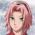 Sakura Sakura internete