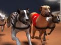 Žaidimas Greyhound lenktynės internete