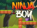 Žaidimas Ninjų Berniukas internete
