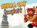 Žaidimas Ninja Katinas Išnaudojimas internete