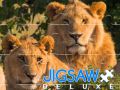 Žaidimas Jigsaw Deluxe internete