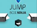 Žaidimas Šokinėjantis Dėžė Ninja internete