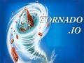 Žaidimas Eg Tornadas.io internete