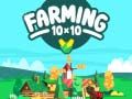 Žaidimas Žemės ūkis 10x10 internete