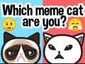 Žaidimas Koks tu meme katinas? internete