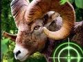 Žaidimas Palių Ožkų Medžiotojas 2020 internete