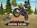 Žaidimas Enduro motociklų lenktynės internete