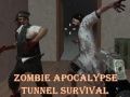 Žaidimas Išgyvenimas zombių apokalipsės tunelyje internete