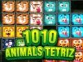 Žaidimas 1010 Gyvūnai Tetris internete
