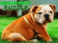 Žaidimas Bulldogo Šuniuko Dėlionė internete
