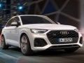 Žaidimas Audi SQ5 TDI Čiuožimas internete
