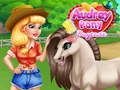 Žaidimas Audrey Pony Dieninė priežiūra internete