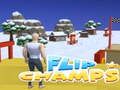 Žaidimas Flip čempionai internete