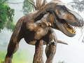 Žaidimas Mėsėdžio Tiranosaurus Rex Dėlionė internete