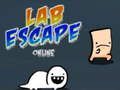 Žaidimas Laboratorijos pabėgimas internete internete