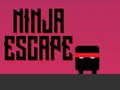 Žaidimas Ninjos pabėgimas internete