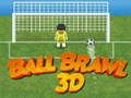 Žaidimas Kamuolių Taverna 3D internete