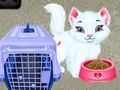 Žaidimas Baby Taylor: Augintinių Priežiūra internete