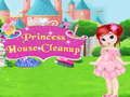 Žaidimas Princesės namų valymas internete
