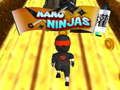 Žaidimas Nano Ninja internete Žaidimas Nano Ninja internete