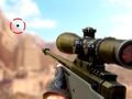 Žaidimas Sniperis 3D internete