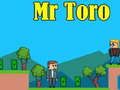 Žaidimas Ponas Toro internete