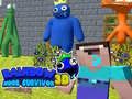 Žaidimas Vaivorykštinis Noob Išgyvenęs 3D internete