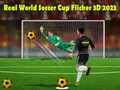 Žaidimas Tikroji Pasaulio futbolo taurė Flicker 3D 2023 internete Žaidimas Tikroji Pasaulio futbolo taurė Flicker 3D 2023 internete