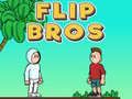 Žaidimas Flip Broliai internete