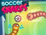 Žaidimas Futbolo gyvatės internete