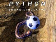 Žaidimas Python Gyvatės Simuliatorius internete