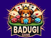 Žaidimas Badugi kortų žaidimas internete