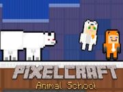 Žaidimas PixelCraft Gyvūnų Mokykla internete