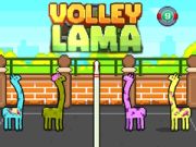 Žaidimas Volley Lama internete