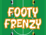 Žaidimas Futbolo Išprotėjimas internete
