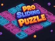 Žaidimas Pro slidinėjimo galvosūkis internete