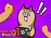 Žaidimas Slaptas meistras sneak cat internete