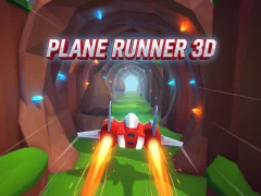 Žaidimas Plane Runner 3D internete