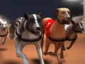 Žaidimas Greyhound lenktynės internete