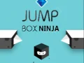 Žaidimas Šokinėjantis Dėžė Ninja internete