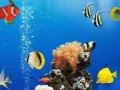 Žaidimas Jūros Po Vandeniu Skirtumai internete