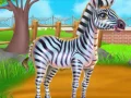Žaidimas Zebros priežiūra internete Žaidimas Zebros priežiūra internete