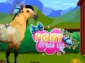 Žaidimas Pony Apranga internete Žaidimas Pony Apranga internete