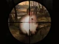 Žaidimas Klasikinė Kiškio Sniper Medžioklė 2019 internete Žaidimas Klasikinė Kiškio Sniper Medžioklė 2019 internete