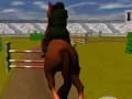 Žaidimas Šokinėjantis Arklys 3D internete