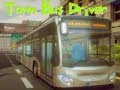 Žaidimas Miestinio autobuso vairuotojas internete