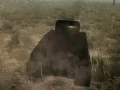 Žaidimas Tankų Mūšis internete Žaidimas Tankų Mūšis internete
