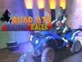 Žaidimas Kvadratinis ATV Eismo Vairuotojas internete
